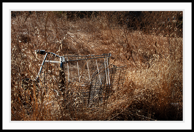 A lost shopping cart in a field.